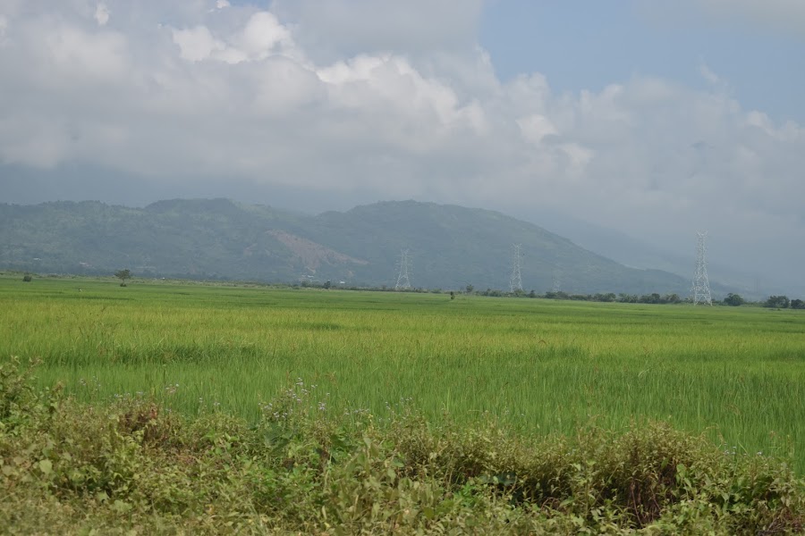 Singda Dam - Photo 3