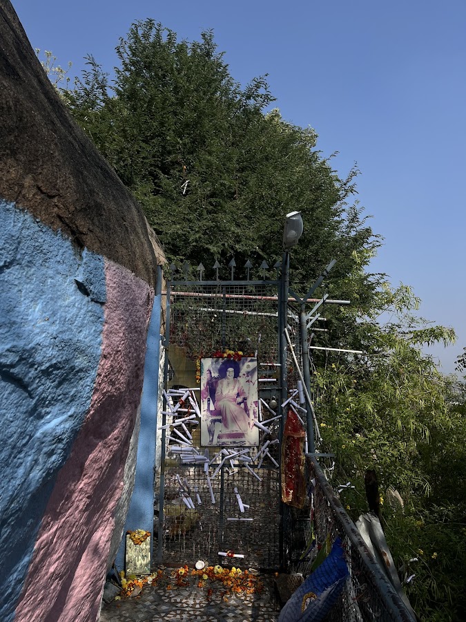 Kalpa Vriksha (Wishing Tree) - Photo 3