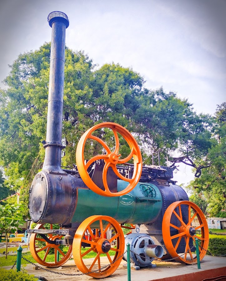 Pinjore Garden - Photo 3