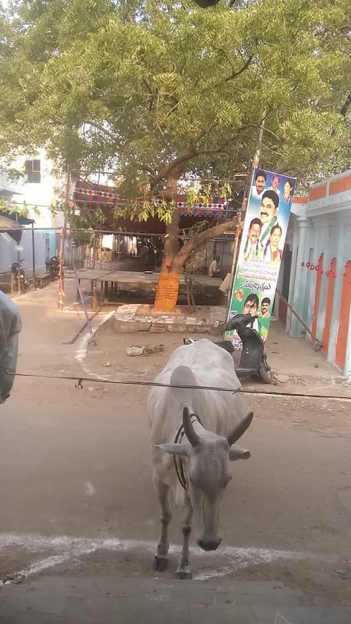 Pithapuram - Photo 3