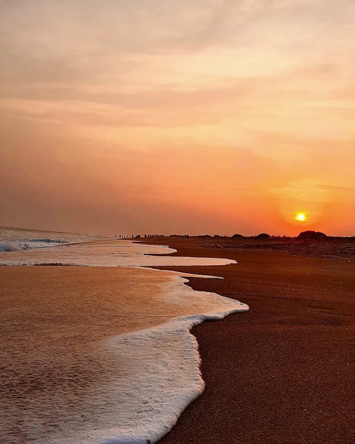 Chilika Lake - Photo 4