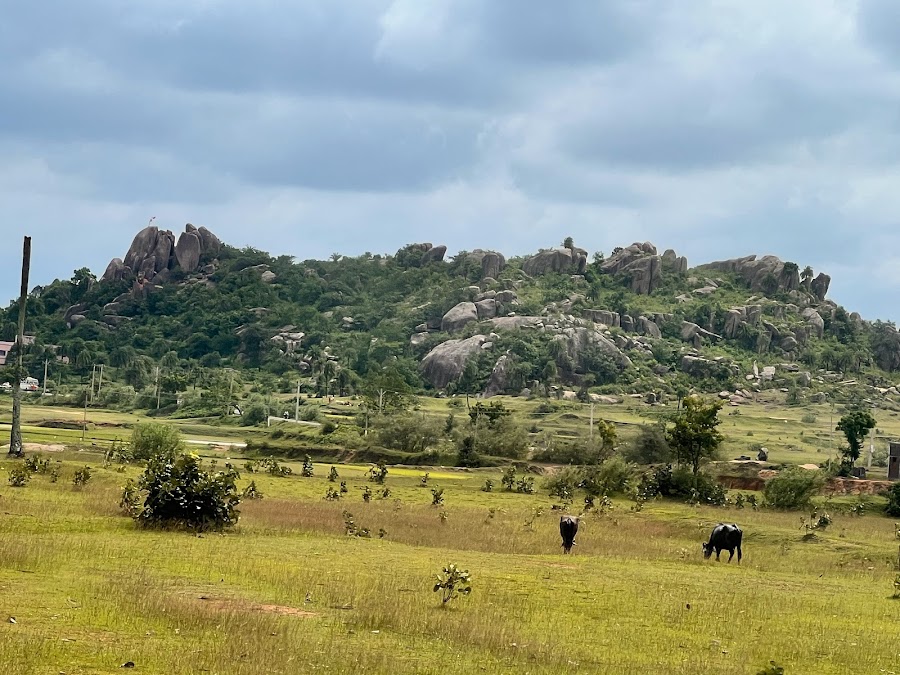 Tapovan - Photo 3