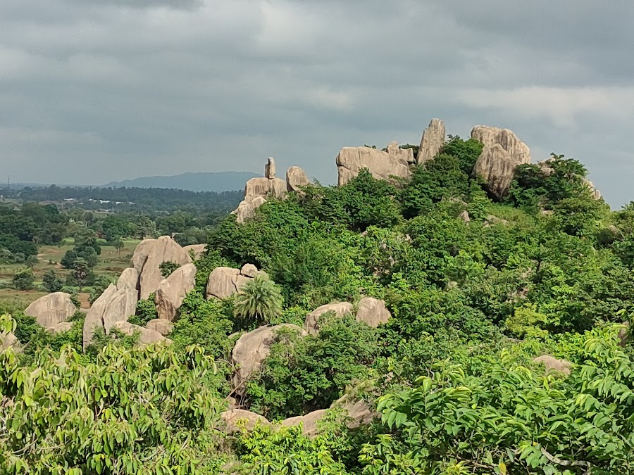 Tapovan - Photo 2