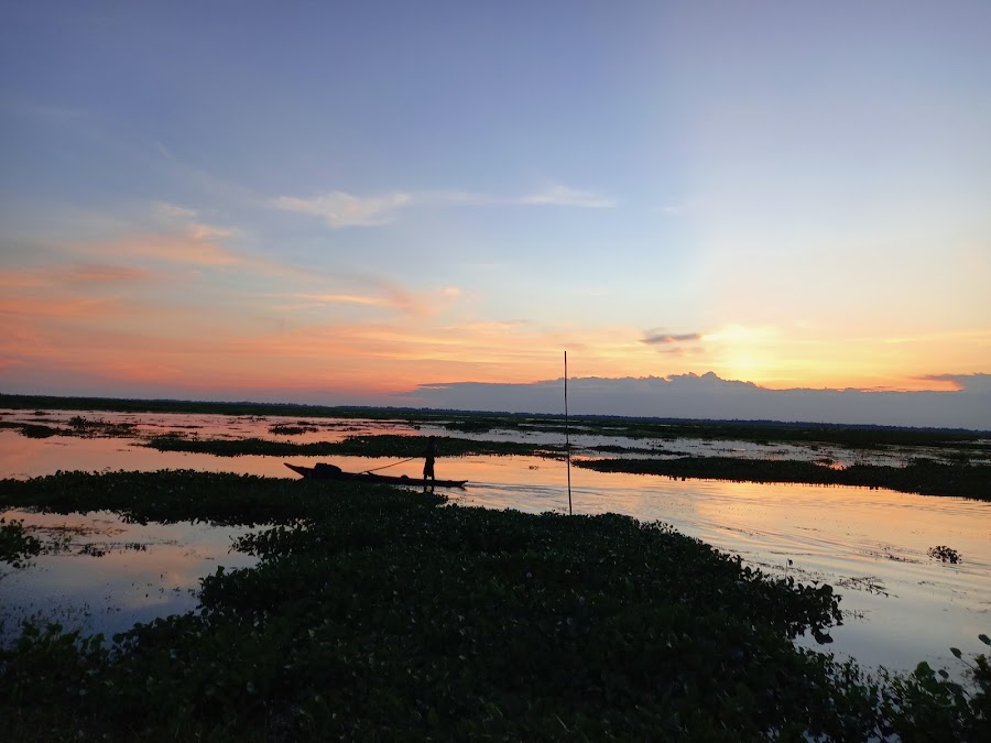 Panidihing Wildlife Sanctuary - Photo 4