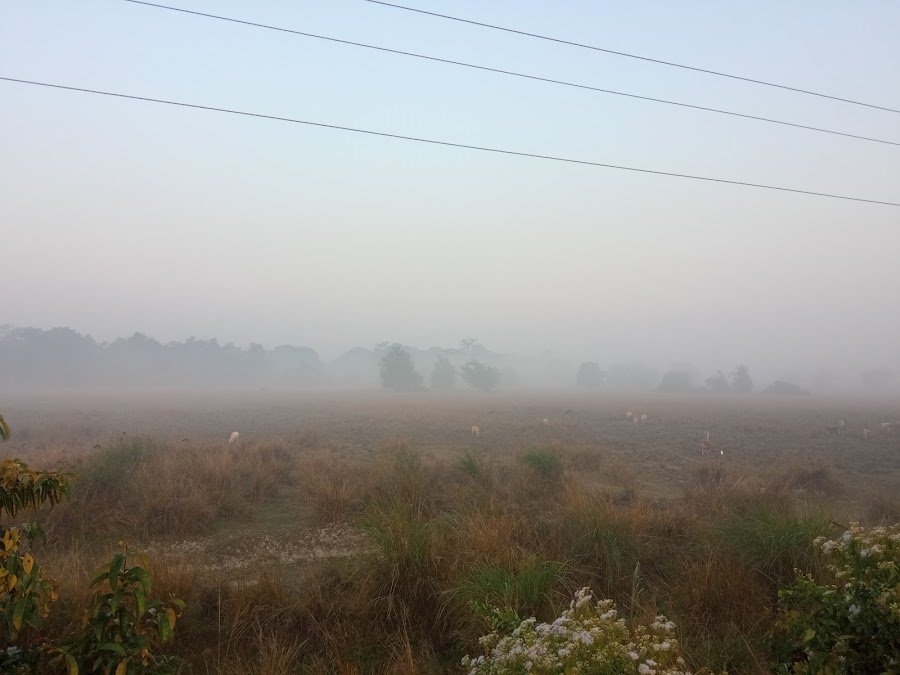 Panidihing Wildlife Sanctuary - Photo 3