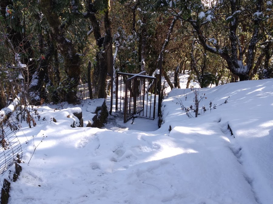 Askot Musk Deer Sanctuary - Photo 8