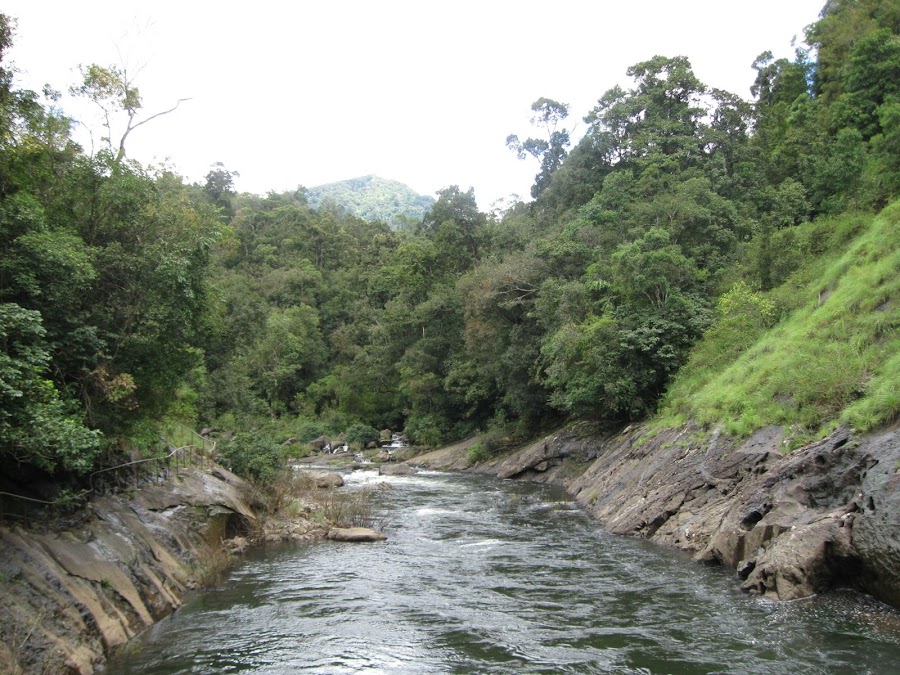 Silent Valley National Park - Photo 4