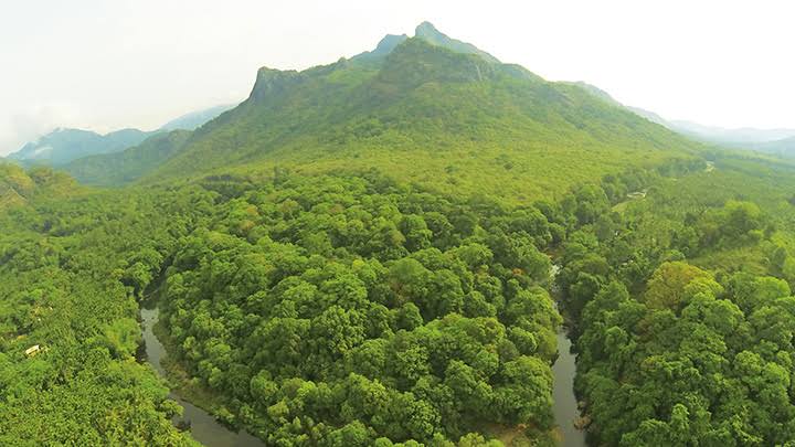 Silent Valley National Park - Photo 2