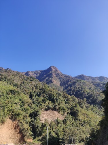 Phawngpui (Blue Mountain) - Photo 5