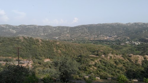 Guhala - Photo 3