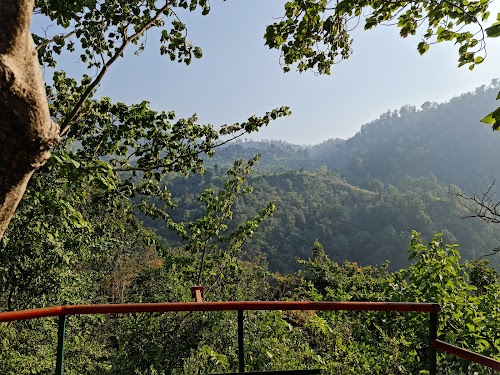 Flying Fox - Photo 2
