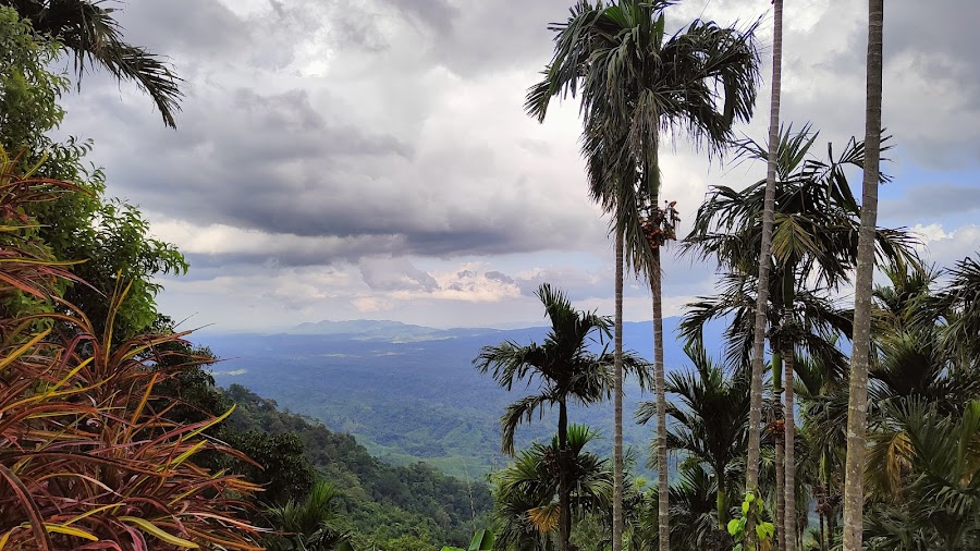 Jampui Hills - Photo 3