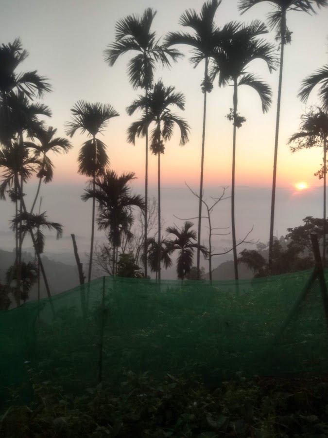 Jampui Hills - Photo 7