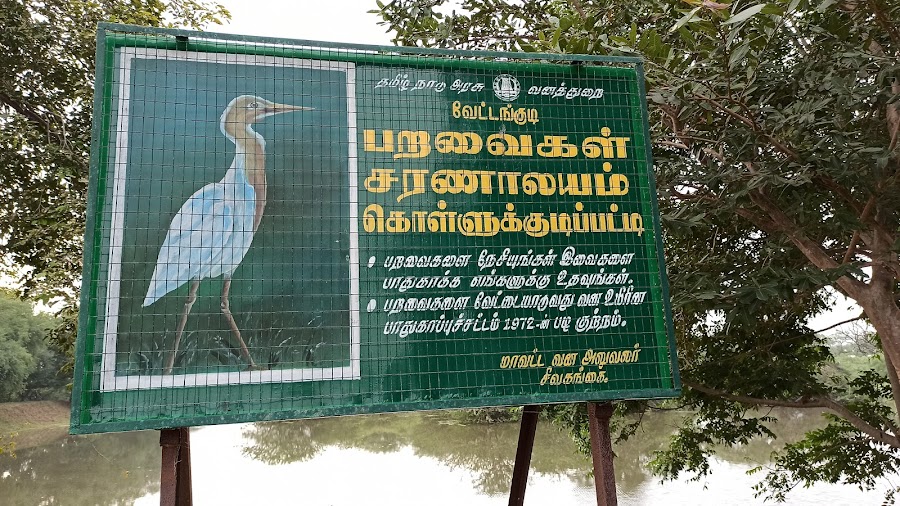 Vettangudi Bird Sanctuary - Photo 2