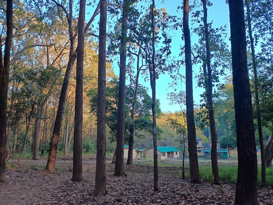 Jim Corbett National Park - Photo 4