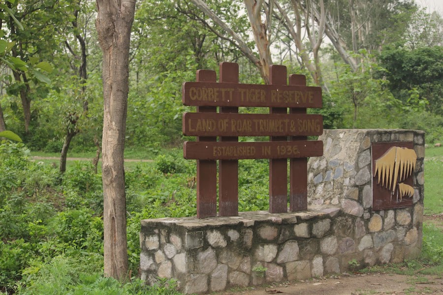 Jim Corbett National Park - Photo 10