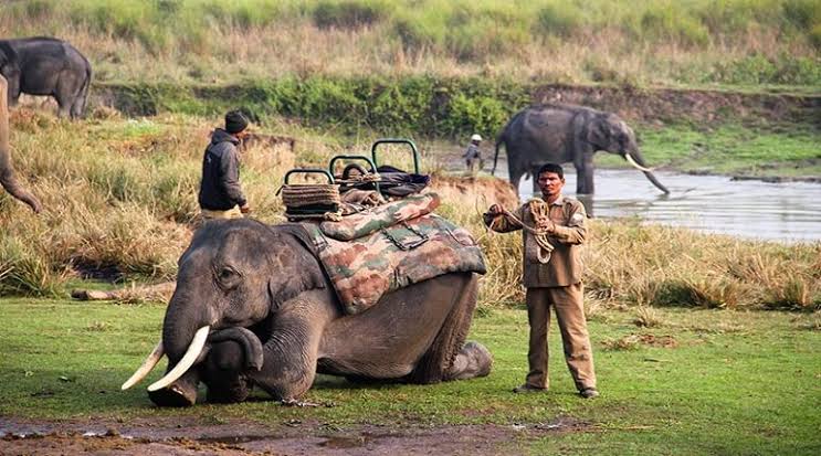 Jim Corbett National Park - Photo 8