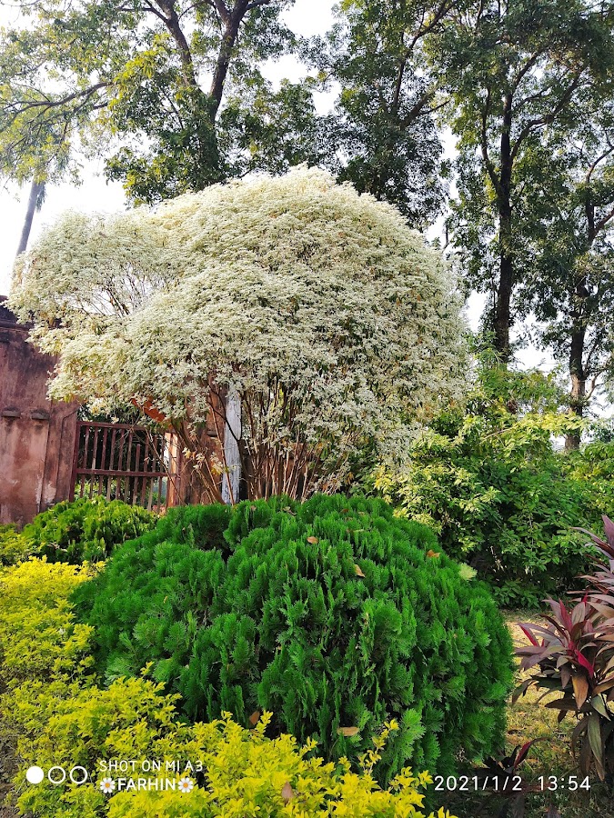 Khosh Bagh - Photo 10