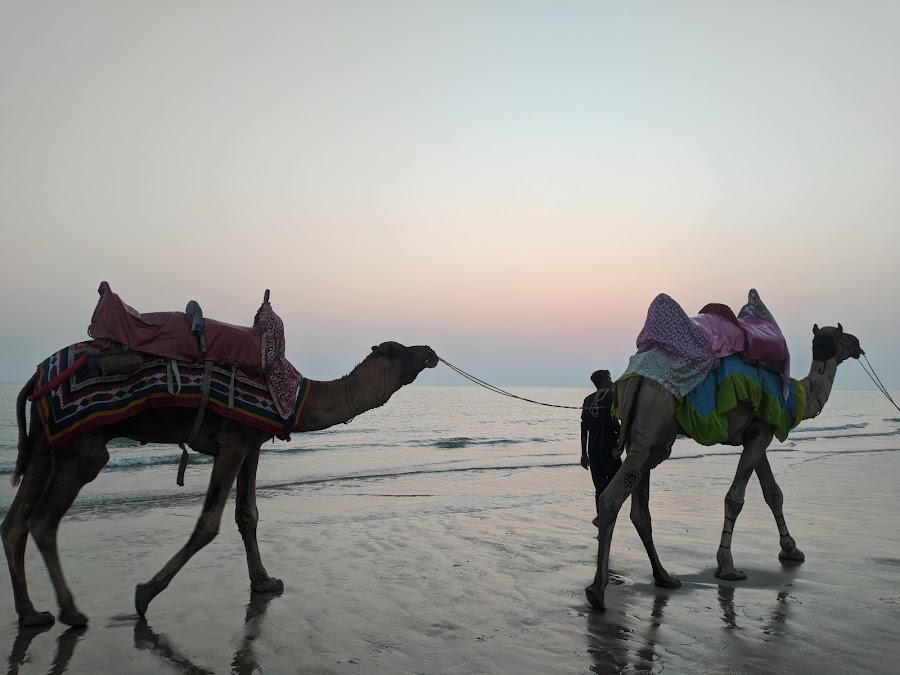 Mandvi Beach