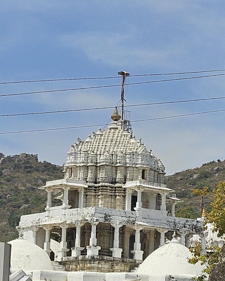 Dilwara Temples - Photo 4
