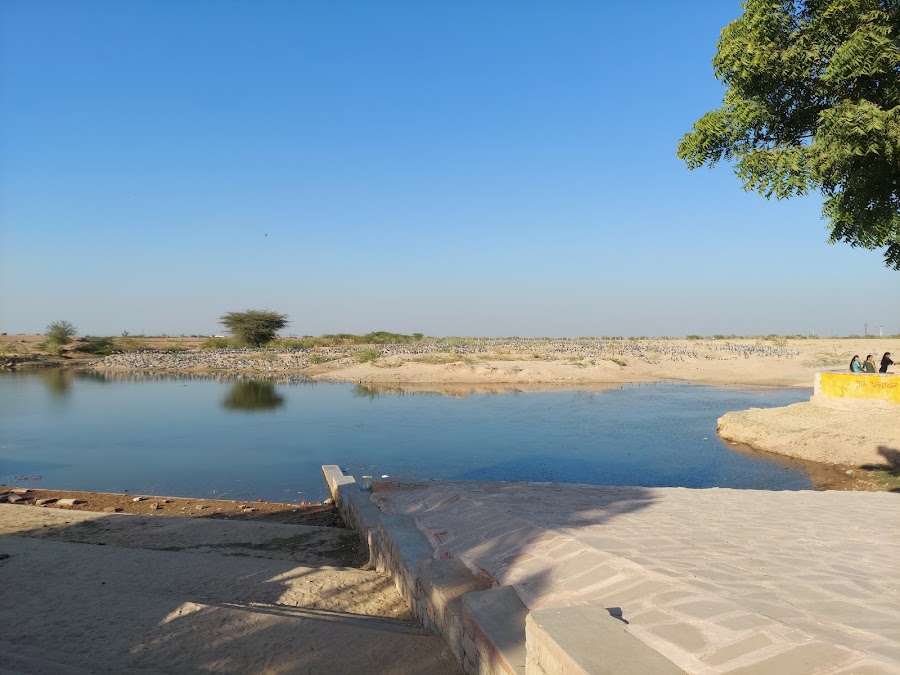 Kheechan Bird Sanctuary - Photo 4