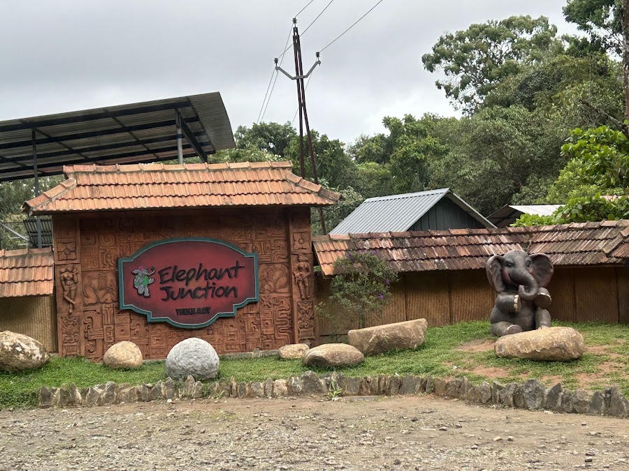 Elephant Junction - Photo 4