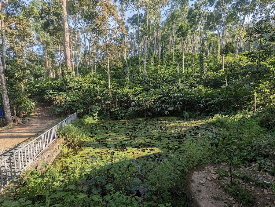 Elephant Junction - Photo 3