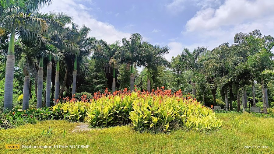 Narayan Bagh - Photo 3