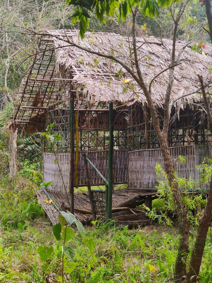 Jokai Botanical Garden - Photo 4