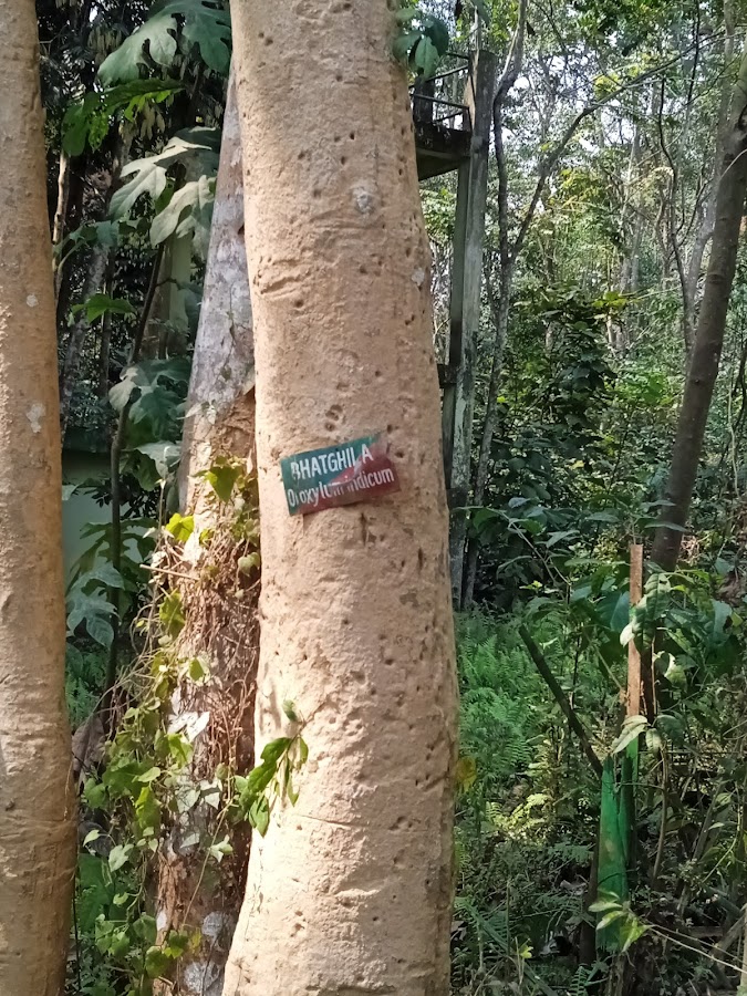 Jokai Botanical Garden - Photo 3
