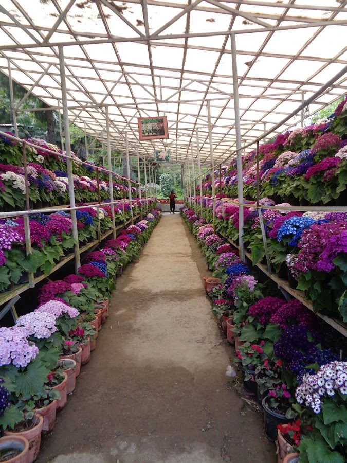 Company Garden - Photo 3