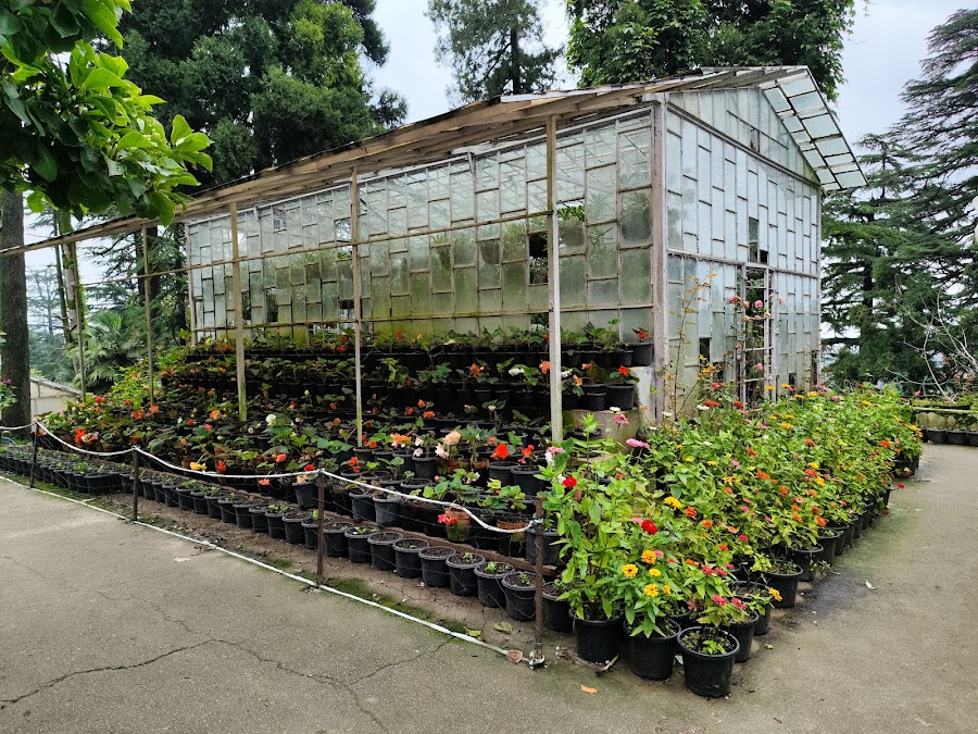 Company Garden - Photo 4