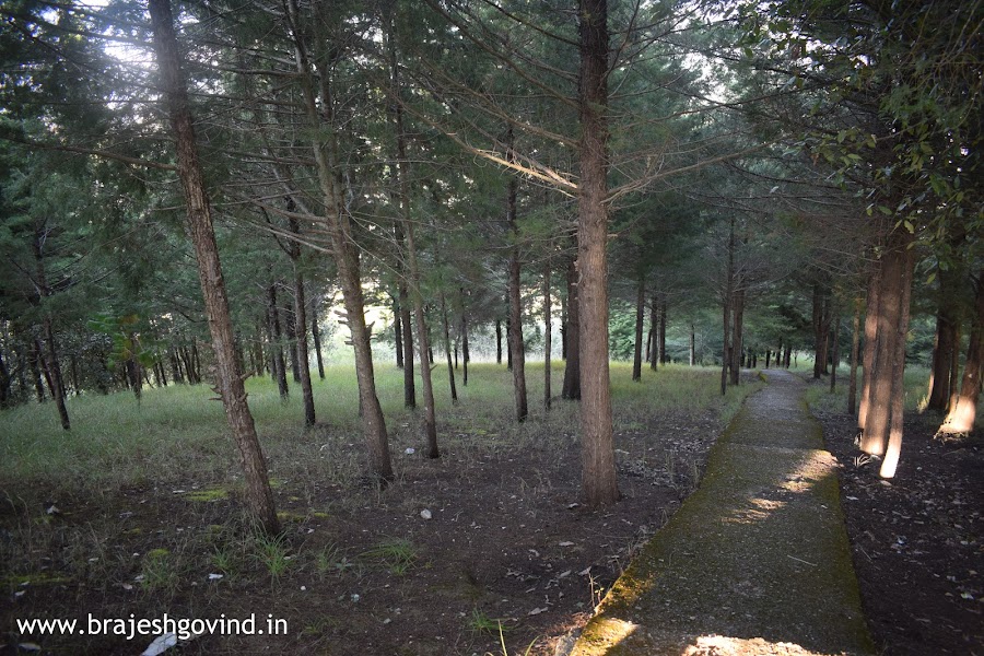 Kapileshwar Mahadev Temple - Photo 9