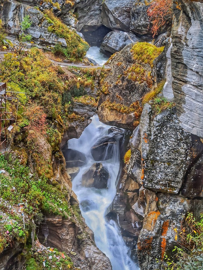 Nanda Devi National Park - Photo 2