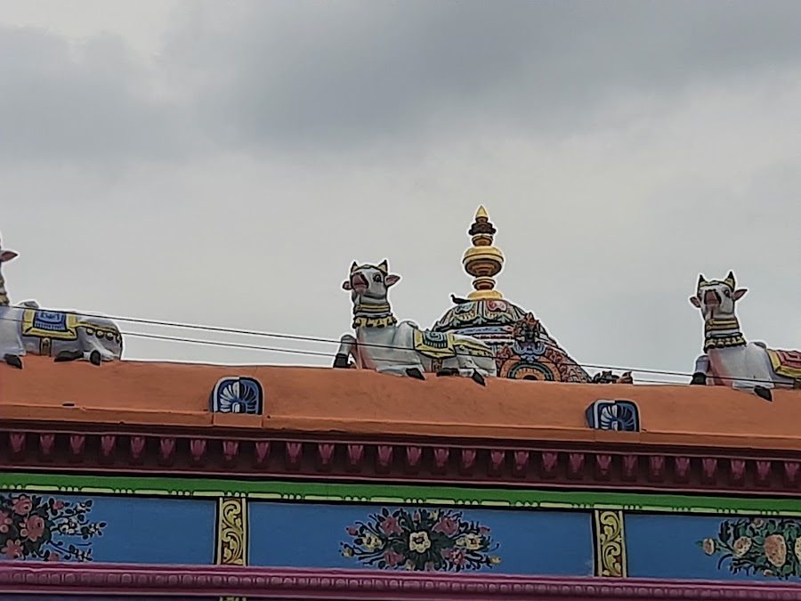 Vaitheeswaran Koil - Photo 4