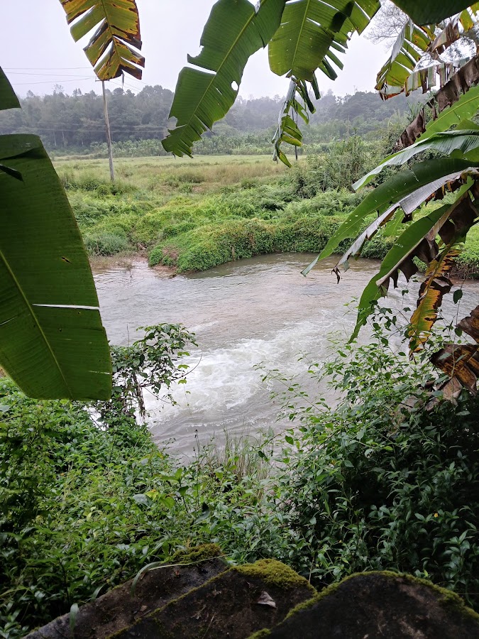Kadamagaru Village - Photo 3