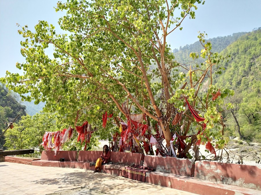 Pancheshwar Mahadev Temple - Photo 7