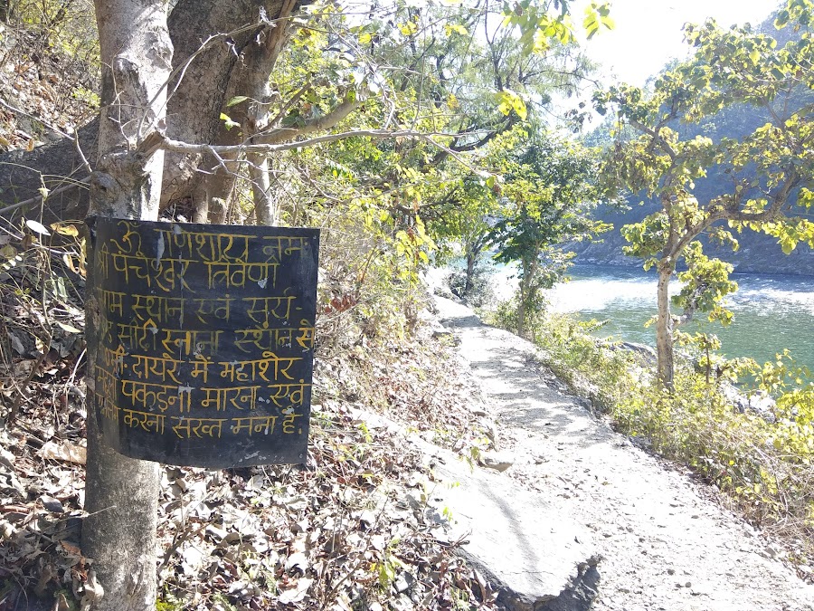 Pancheshwar Mahadev Temple - Photo 8