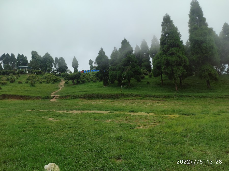 Deolo View Point - Photo 9