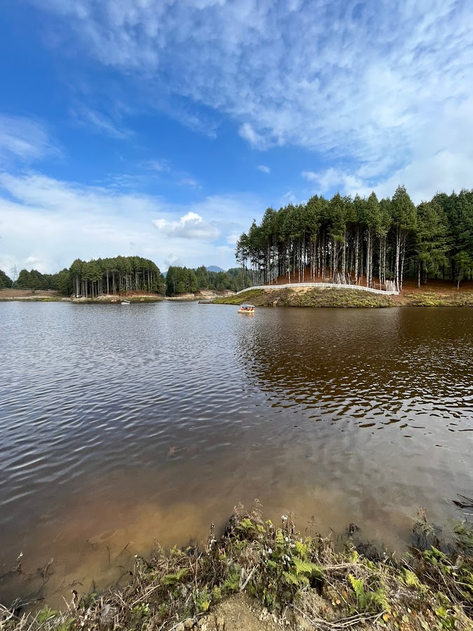 Siikey Lake - Photo 2