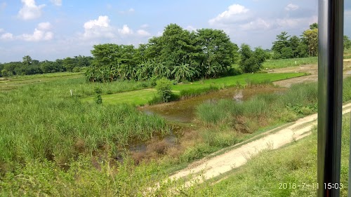 East Champaran - Photo 3