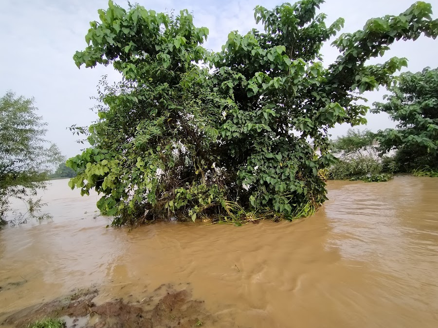 Brahmani River - Photo 4