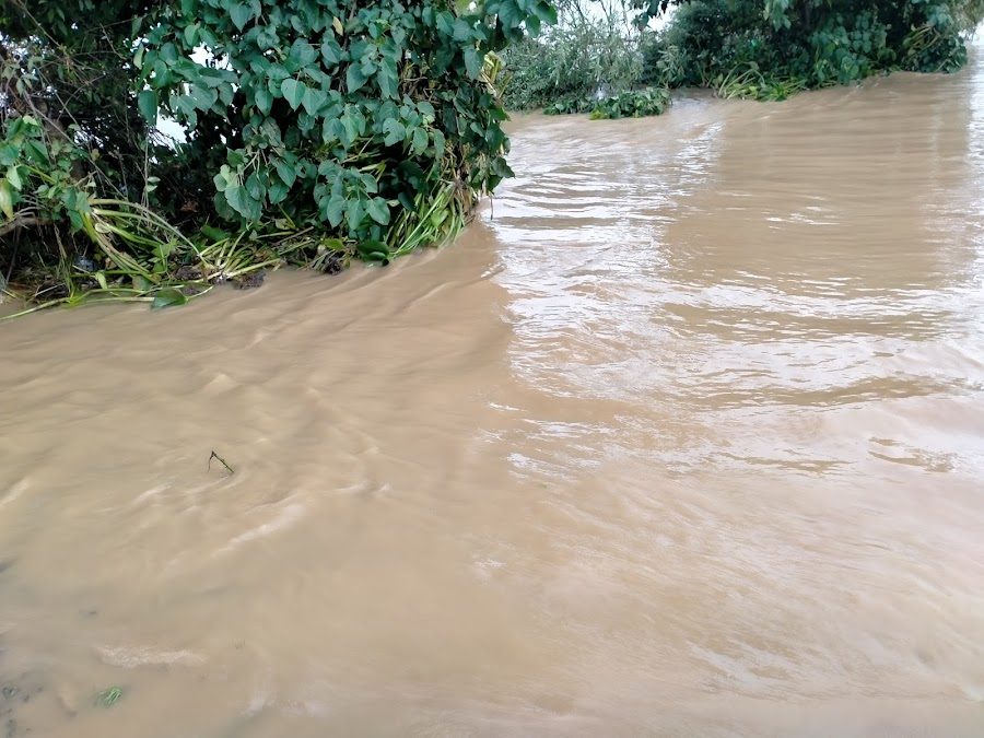 Brahmani River - Photo 3