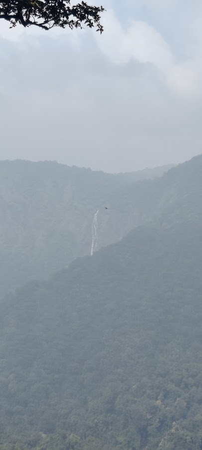 Narasimha Vana - Photo 3