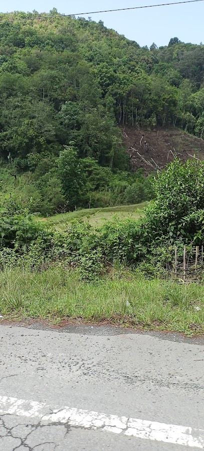 Champhai Town View Point - Photo 4