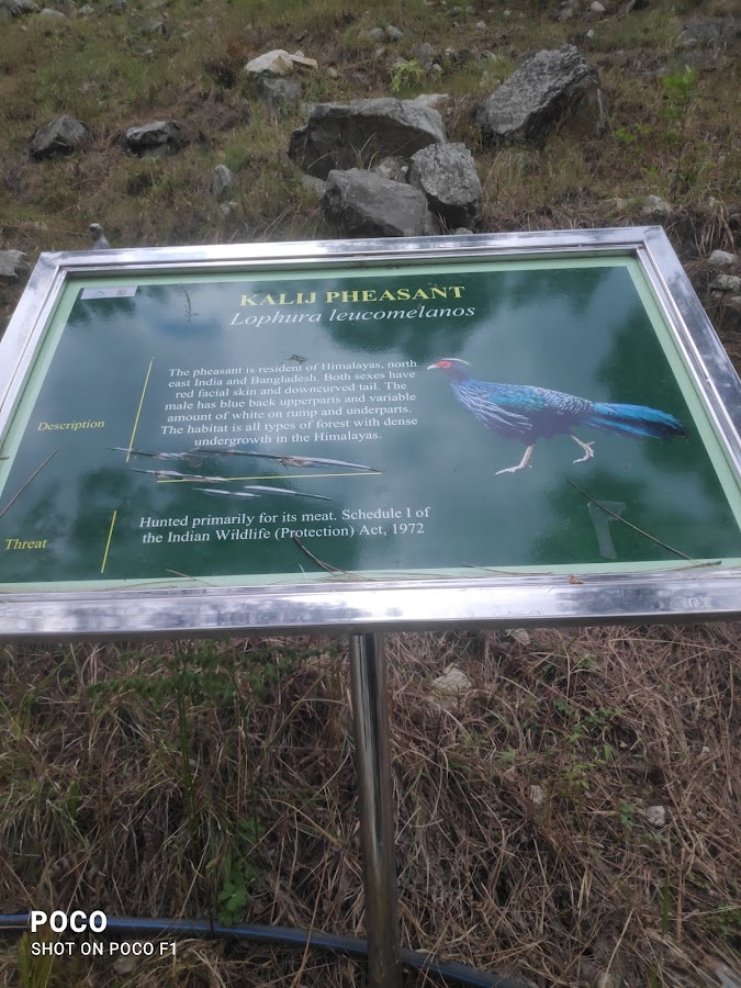 Great Himalayan National Park - Photo 3