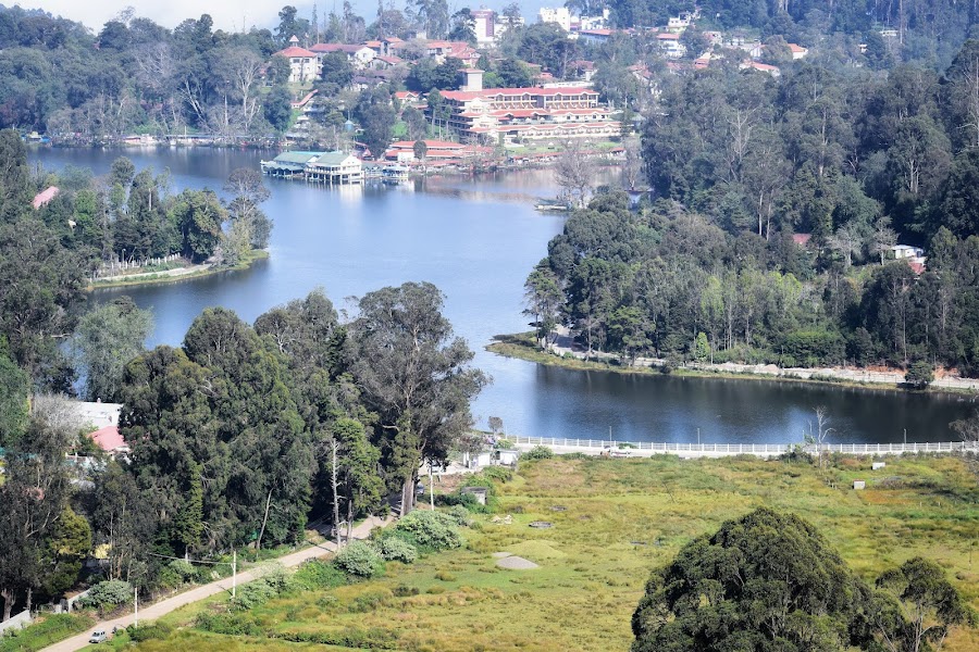 Kodai Lake - Photo 2
