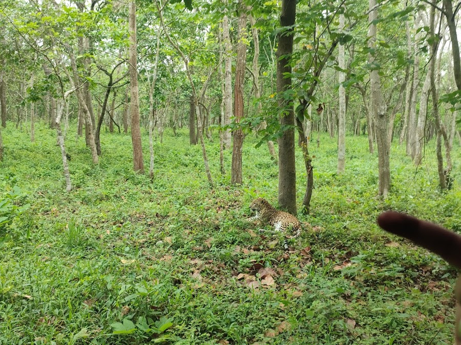 Bengal Safari Park - Photo 3