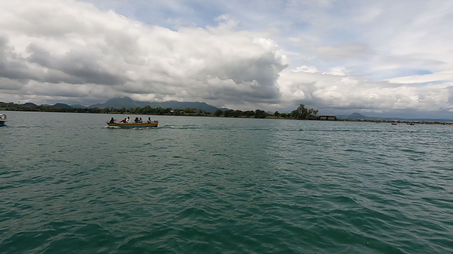 Arthur Hill Lake - Photo 3