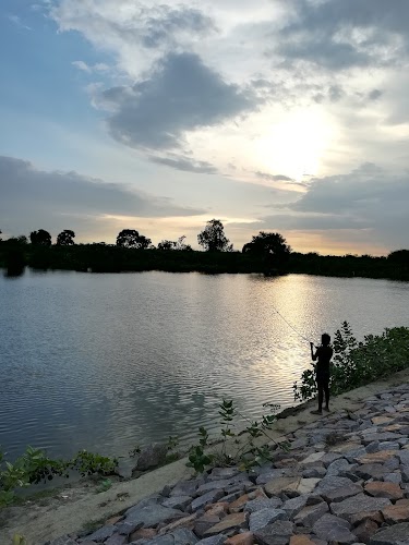 Kanpur - Photo 4